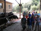 IMG_3643.JPG