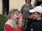 IMG_9631.JPG