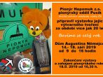 19p0650.jpg
