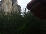 17p0557.jpg