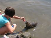 IMG_3677.JPG