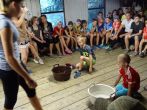 dsc00445.jpg