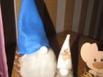 20p0156.jpg
