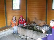 IMG_3022.JPG