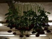 img_1276.jpg