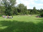 dsc05730.jpg