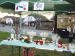 151351.jpg