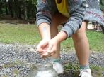 dsc00572a.jpg