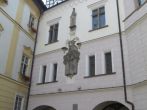 IMG_4223.jpg