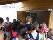 11-07-069.jpg