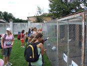 11-07-048.jpg