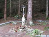 IMG_3017.JPG