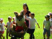 IMG_2240.JPG