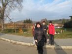 140533.jpg