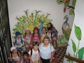 IMG_3701.JPG
