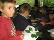img_6433.jpg