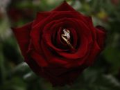 img_0778.jpg