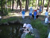 IMG_2137.JPG