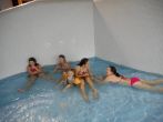 17p10256.jpg