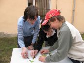 IMG_9629.JPG