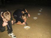 img_6742.jpg