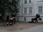 img_0316.jpg