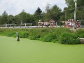 IMG_3704.JPG