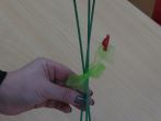 19p0362.jpg