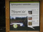 IMG_2910.JPG