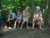 15-07-047.jpg