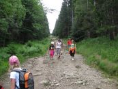IMG_2866.JPG