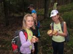 IMG_4196.jpg