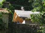 IMG_4216.jpg