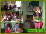 17p0278.jpg