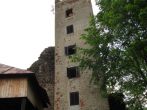 pu298.jpg