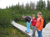 IMG_2915.JPG