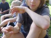 15-07-037.jpg