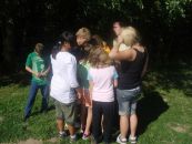 15-07-050.jpg