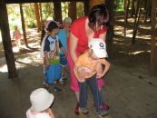 IMG_2223.JPG