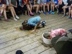dsc00460.jpg