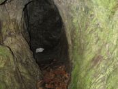IMG_2978.JPG
