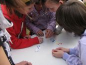 IMG_9646.JPG