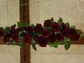 img_1292.jpg