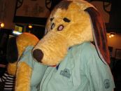 img_8502.jpg