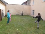 140796.jpg