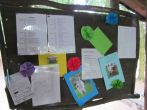dsc00113a.jpg