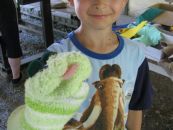 IMG_2249.JPG