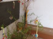 v004.JPG