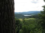 IMG_2968.JPG