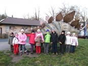 IMG_5552.JPG